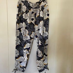 Fighting Eel pant Goa